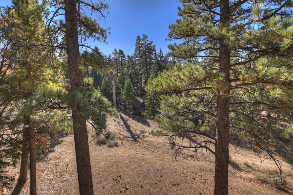 Everwood Serenity Treehouse Ontrail Head/Sledding Villa Big Bear Lake Exterior foto